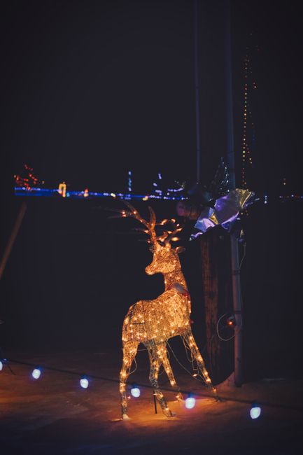 A decorative reindeer sculpture illuminated with warm, amber-colored lights stands on a flat surface, surrounded by a string of small, round white lights. The reindeer has a textured, metallic appearance with detailed antlers and a slightly raised head, positioned in front of a dark background. To the right of the reindeer, there is a tall, vertical pole or post with some multicolored string lights hanging from it, and a small, reflective object attached near the pole. The overall scene suggests a festive setting, possibly outdoor, with the lights creating a soft glow against the night. There are no other visible objects or environmental details to specify further. This scene relates to decorative or festive lighting arrangements often used during holiday seasons, which could be part of private or commercial displays involving outdoor illumination.